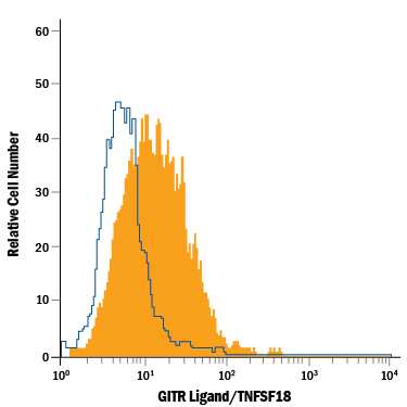 HUVEC human umbilical vein endothelial cells were stained with Mouse Anti-Human GITR Ligand/TNFSF18 PerCP-conjugated Monoclonal Antibody (Catalog # FAB6941C, filled histogram) or isotype control antibody (Catalog # IC002C, open histogram). View our protocol for Staining Membrane-associated Proteins.