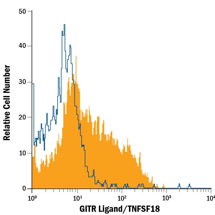 Human umbilical vein endothelial cells were stained with Mouse Anti-Human GITR Ligand/TNFSF18 Fluorescein-conjugated Monoclonal Antibody (Catalog # FAB6941F, filled histogram) or isotype control antibody (Catalog # IC002F, open histogram). View our protocol for Staining Membrane-associated Proteins.