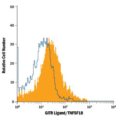 HUVEC human umbilical vein endothelial cells were stained with Mouse Anti-Human GITR Ligand/TNFSF18 Alexa Fluor® 700-conjugated Monoclonal Antibody (Catalog # FAB6941N, filled histogram) or isotype control antibody (Catalog # IC002N, open histogram). View our protocol for Staining Membrane-associated Proteins.