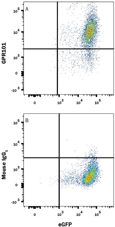 GPR101 Antibody (909603) [Alexa Fluor® 647] (FAB7495R): Novus Biologicals