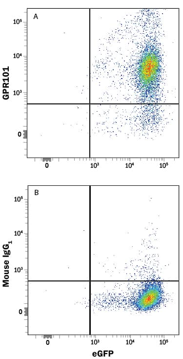 Flow Cytometry GPR101 Antibody (909603) [Unconjugated]