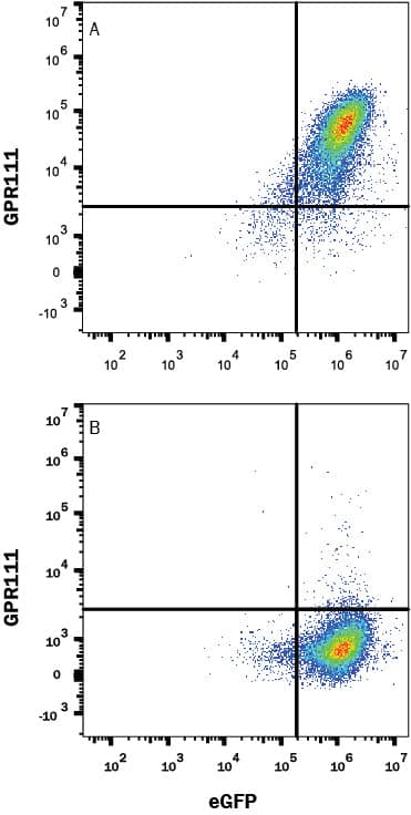 Flow Cytometry GPR111 Antibody (594522) [Unconjugated]