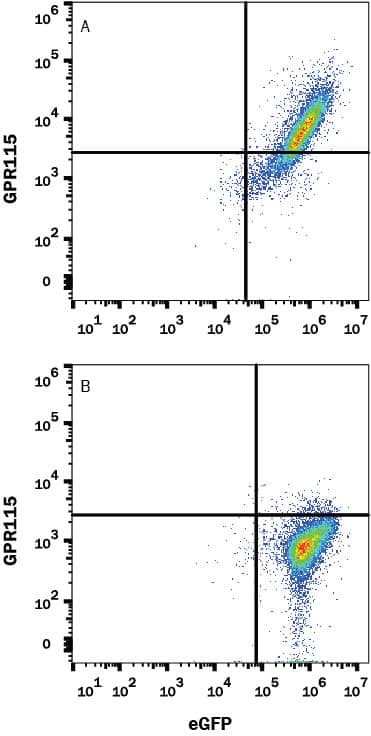 Flow Cytometry GPR115 Antibody (527018) [Unconjugated]