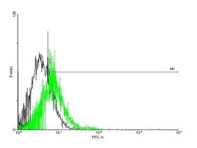 Flow Cytometry: GPR151 Antibody [H00134391-B01P] - Analysis of negative control 293 cells (Black) and GPR151 expressing 293 cells (Green) using GPR151 purified mouse polyclonal antibody.