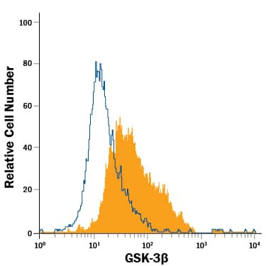 HeLa human cervical epithelial carcinoma cell line was stained with Rat Anti-Human/Mouse/Rat GSK-3 beta  Fluorescein-conjugated Monoclonal Antibody (Catalog # IC2506F, filled histogram) or isotype control antibody (Catalog # IC006F, open histogram). To facilitate intracellular staining, cells were fixed with Flow Cytometry Fixation Buffer (Catalog # FC004) and permeabilized with Flow Cytometry Permeabilization/Wash Buffer I (Catalog # FC005). View our protocol for Staining Intracellular Molecules.