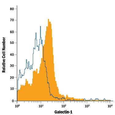 Mouse splenocytes were stained with Goat Anti-Mouse Galectin-1 PE-conjugated Antigen Affinity-purified Polyclonal Antibody (Catalog # IC1245P, filled histogram) or isotype control antibody (Catalog # IC108P, open histogram). To facilitate intracellular staining, cells were fixed with Flow Cytometry Fixation Buffer (Catalog # FC004) and permeabilized with Flow Cytometry Permeabilization/Wash Buffer I (Catalog # FC005). View our protocol for Staining Intracellular Molecules.