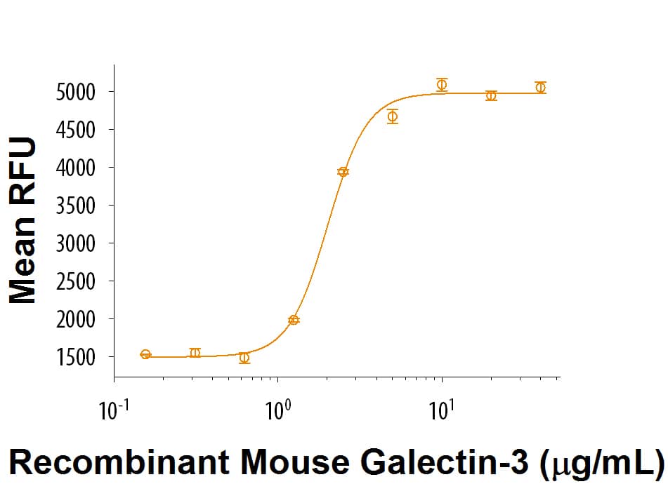 Recombinant  Mouse Galectin-3 (Catalog # 9039-GAB) supports the adhesion of D10.G4.1 mouse helper T cells. The ED50 for this effect is 1‑5 μg/mL.