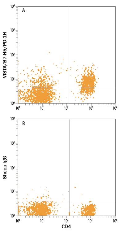 Mouse splenocytes were stained with Rat Anti-Mouse CD4 APC-conjugated Monoclonal Antibody (FAB554A) and either (A) Sheep Anti-Mouse Gi24/VISTA/B7-H5 Alexa Fluor® 488-conjugated Antigen Affinity-purified Polyclonal Antibody (Catalog # FAB7005G) or (B) Normal Sheep IgG Alexa Fluor 488 Control (IC016G). View our protocol for Staining Membrane-associated Proteins.