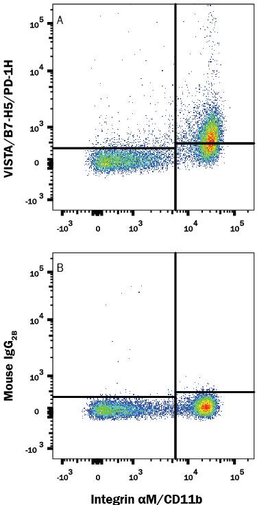 Human peripheral blood mononuclear cells (PBMCs) were stained with Mouse Anti-Human Integrin aM/CD11b PE-conjugated Monoclonal Antibody (Catalog # FAB16991P) and either (A) Mouse Anti-Human VISTA/B7-H5/PD-1H APC-conjugated Monoclonal Antibody (Catalog # FAB71261A) or (B) Mouse IgG2BAllophycocyanin Isotype Control (Catalog # IC0041A). View our protocol for Staining Membrane-associated Proteins.