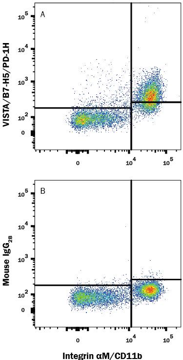 Human peripheral blood mononuclear cells (PBMCs) were stained with Mouse Anti-Human Integrin aM/CD11b APC-conjugated Monoclonal Antibody (Catalog # FAB16991A) and either (A) Mouse Anti-Human VISTA/B7-H5/PD-1H Alexa Fluor® 488-conjugated Monoclonal Antibody (Catalog # FAB71261G) or (B) Mouse IgG2BAlexa Fluor 488 Isotype Control (Catalog # IC0041G). View our protocol for Staining Membrane-associated Proteins.