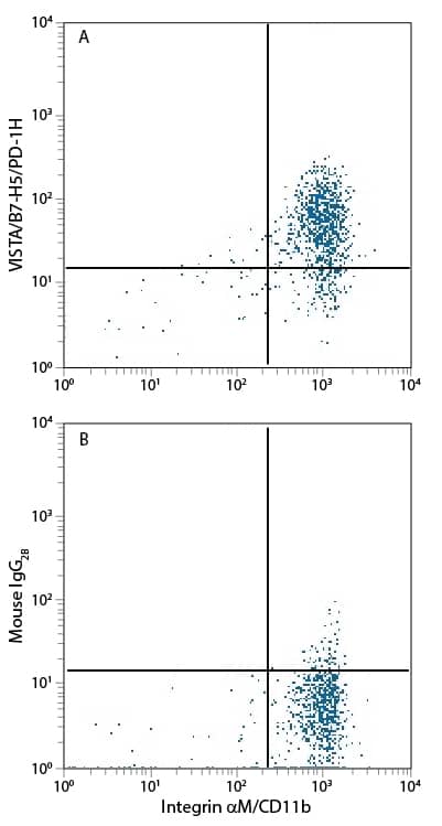 Human peripheral blood monocytes were stained with Mouse Anti-Human Integrin aM/CD11b Alexa Fluor® 488-conjugated Monoclonal Antibody (Catalog # FAB16991G) and either (A) Mouse Anti-Human VISTA/B7-H5/PD-1H Alexa Fluor® 700-conjugated Monoclonal Antibody (Catalog # FAB71261N) or (B) Mouse IgG2BAlexa Fluor 700 Isotype Control (Catalog # IC0041N). View our protocol for Staining Membrane-associated Proteins.