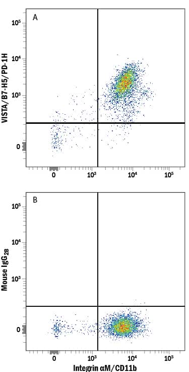 Human peripheral blood mononuclear cells (PBMCs) were stained with Mouse Anti-Human Integrin aM/CD11b PE-conjugated Monoclonal Antibody (Catalog # FAB16991P) and either (A) Mouse Anti-Human VISTA/B7-H5/PD-1H Alexa Fluor® 647-conjugated Monoclonal Antibody (Catalog # FAB71261R) or (B) Mouse IgG2BAlexa Fluor 647 Isotype Control (Catalog # IC0041R). View our protocol for Staining Membrane-associated Proteins.