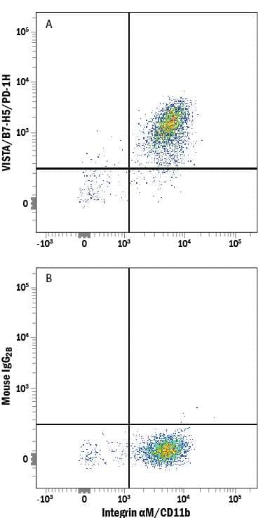 Human peripheral blood mononuclear cells (PBMCs) were stained with Mouse Anti-Human Integrin aM/CD11b APC-conjugated Monoclonal Antibody (Catalog # FAB16991A) and either (A) Mouse Anti-Human VISTA/B7-H5/PD-1H Alexa Fluor® 594-conjugated Monoclonal Antibody (Catalog # FAB71261T) or (B) Mouse IgG2BAlexa Fluor 594 Isotype Control (Catalog # IC0041T). View our protocol for Staining Membrane-associated Proteins.