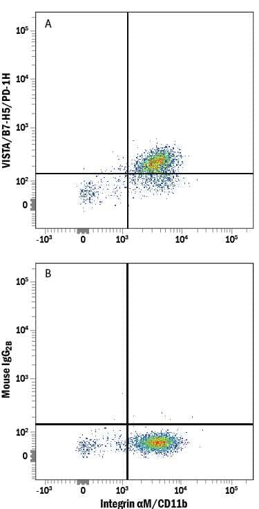 Human peripheral blood mononuclear cells (PBMCs) were stained with Mouse Anti-Human Integrin aM/CD11b APC-conjugated Monoclonal Antibody (Catalog # FAB16991A) and either (A) Mouse Anti-Human VISTA/B7-H5/PD-1H Alexa Fluor® 405-conjugated Monoclonal Antibody (Catalog # FAB71261V) or (B) Mouse IgG2BAlexa Fluor 405 Isotype Control (Catalog # IC0041V). View our protocol for Staining Membrane-associated Proteins.