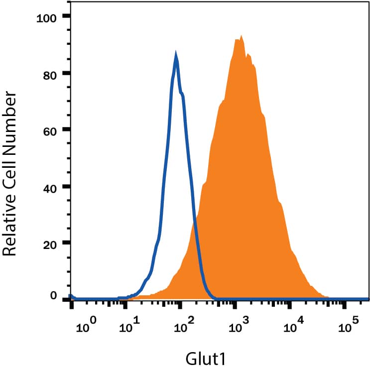 HepG2 human hepatocellular carcinoma cell line was stained with Mouse Anti-Human Glut1 Fluorescein-conjugated Monoclonal Antibody (Catalog # FAB1418F, filled histogram) or isotype control antibody (Catalog # IC0041F, open histogram). View our protocol for Staining Membrane-associated Proteins.