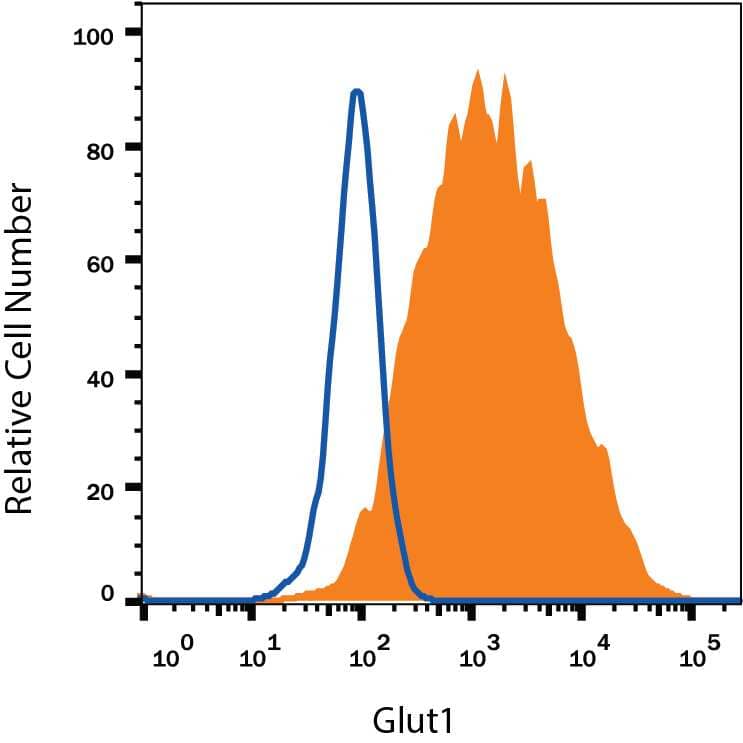 HepG2 human hepatocellular carcinoma cell line was stained with Mouse Anti-Human Glut1 Alexa Fluor® 488-conjugated Monoclonal Antibody (Catalog # FAB1418G, filled histogram) or isotype control antibody (Catalog # IC0041G, open histogram). View our protocol for Staining Membrane-associated Proteins.