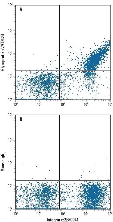 Human peripheral blood platelets were stained with anti-human CD41 FITC-conjugated antibody and either (A) Mouse Anti-Human Glycoprotein V/CD42d APC-conjugated Monoclonal Antibody (Catalog # FAB4249A) or (B) Mouse IgG1Allophycocyanin Isotype Control (Catalog # IC002A). View our protocol for Staining Membrane-associated Proteins.