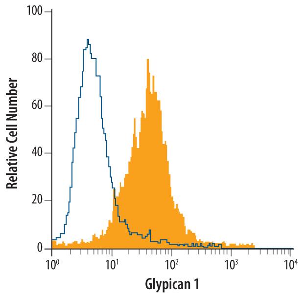 MDA-MB-231 human breast cancer cell line was stained with Goat Anti-Human Glypican 1 Biotinylated Antigen Affinity-purified Polyclonal Antibody (Catalog # BAF4519, filled histogram) or isotype control antibody (BAF108), open histogram), followed by Streptavidin-Phycoerythrin (F0040).