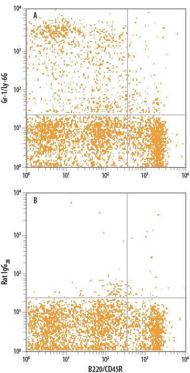 Mouse splenocytes were stained with Rat Anti-Mouse B220/CD45R PE-conjugated Monoclonal Antibody (Catalog # FAB1217P) and either (A) Rat Anti-Mouse Gr-1/Ly-6G APC-conjugated Monoclonal Antibody (Catalog # FAB1037A) or (B) Rat IgG2BAllophycocyanin Isotype Control (Catalog # IC013A). View our protocol for Staining Membrane-associated Proteins.