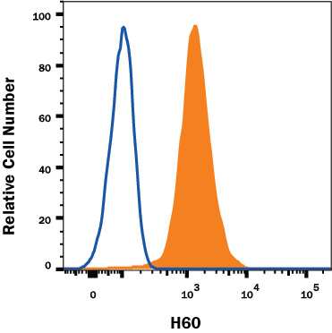 RAW 264.7 mouse monocyte/macrophage cell line was stained with Rat Anti-Mouse H60 PE-conjugated Monoclonal Antibody (Catalog # FAB1155P, filled histogram) or isotype control antibody (Catalog # IC006P, open histogram). View our protocol for Staining Membrane-associated Proteins.