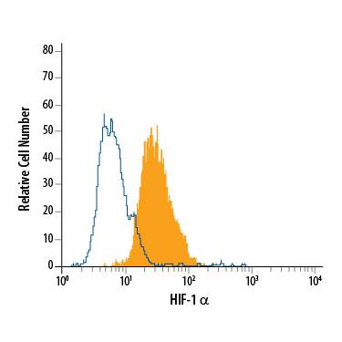 MCF-7 human breast cancer cell line treated with CoCl2was stained with Mouse Anti-Human/Mouse HIF-1a Fluorescein-conjugated Monoclonal Antibody (Catalog # IC1935F, filled histogram) or isotype control antibody (Catalog # IC002F, open histogram). To facilitate intracellular staining, cells were fixed with Flow Cytometry Fixation Buffer (Catalog # FC004) and permeabilized with Flow Cytometry Permeabilization/Wash Buffer I (Catalog # FC005). View our protocol for Staining Intracellular Molecules.