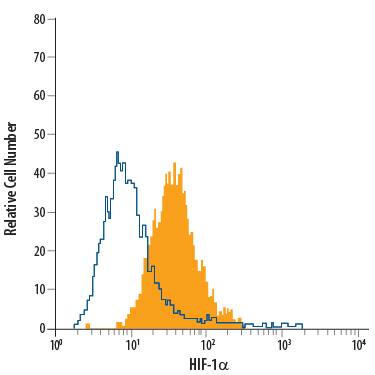 MCF-7 human breast cancer cell line treated with CoCl2was stained with Mouse Anti-Human/Mouse HIF-1a PE-conjugated Monoclonal Antibody (Catalog # IC1935P, filled histogram) or isotype control antibody (Catalog # IC002P, open histogram). To facilitate intracellular staining, cells were fixed with Flow Cytometry Fixation Buffer (Catalog # FC004) and permeabilized with Flow Cytometry Permeabilization/Wash Buffer I (Catalog # FC005). View our protocol for Staining Intracellular Molecules.