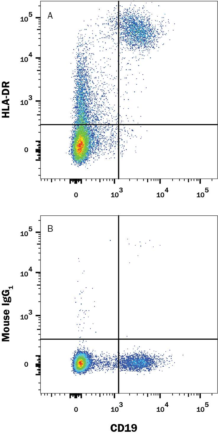 Human peripheral blood lymphocytes were stained with (A) Mouse Anti-Human HLA-DR APC-conjugated Monoclonal Antibody (Catalog # FAB4869A) or (B) isotype control antibody (Catalog # IC002A) Mouse anti-Human CD19 PE-conjugated Monoclonal Antibody (Catalog # FAB4867A). View our protocol for Staining Membrane-associated Proteins.