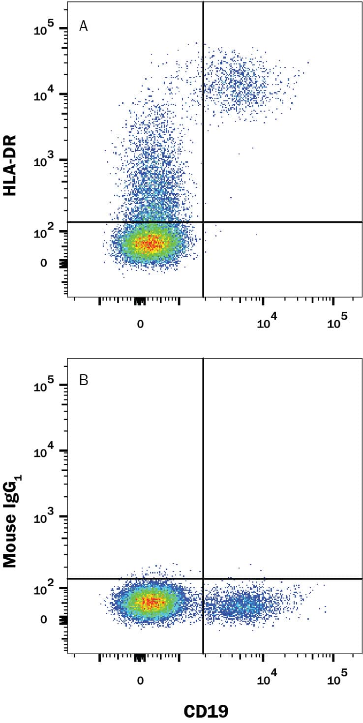Human peripheral blood lymphocytes were stained with (A) Mouse Anti-Human HLA-DR Alexa Fluor® 488-conjugated Monoclonal Antibody (Catalog # FAB4869G) or (B) isotype control antibody (Catalog # IC002G) Mouse anti-Human CD19 APC-conjugated Monoclonal Antibody (Catalog # FAB4867A). View our protocol for Staining Membrane-associated Proteins.