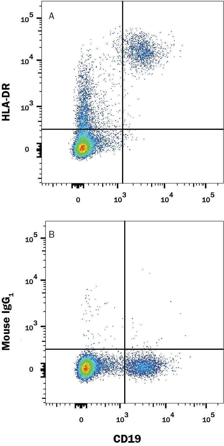 Human peripheral blood lymphocytes were stained with (A) Mouse Anti-Human HLA-DR Alexa Fluor® 700-conjugated Monoclonal Antibody (Catalog # FAB4869N) or (B) isotype control antibody (Catalog # IC002N) Mouse anti-Human CD19 PE-conjugated Monoclonal Antibody (Catalog # FAB4867P). View our protocol for Staining Membrane-associated Proteins.