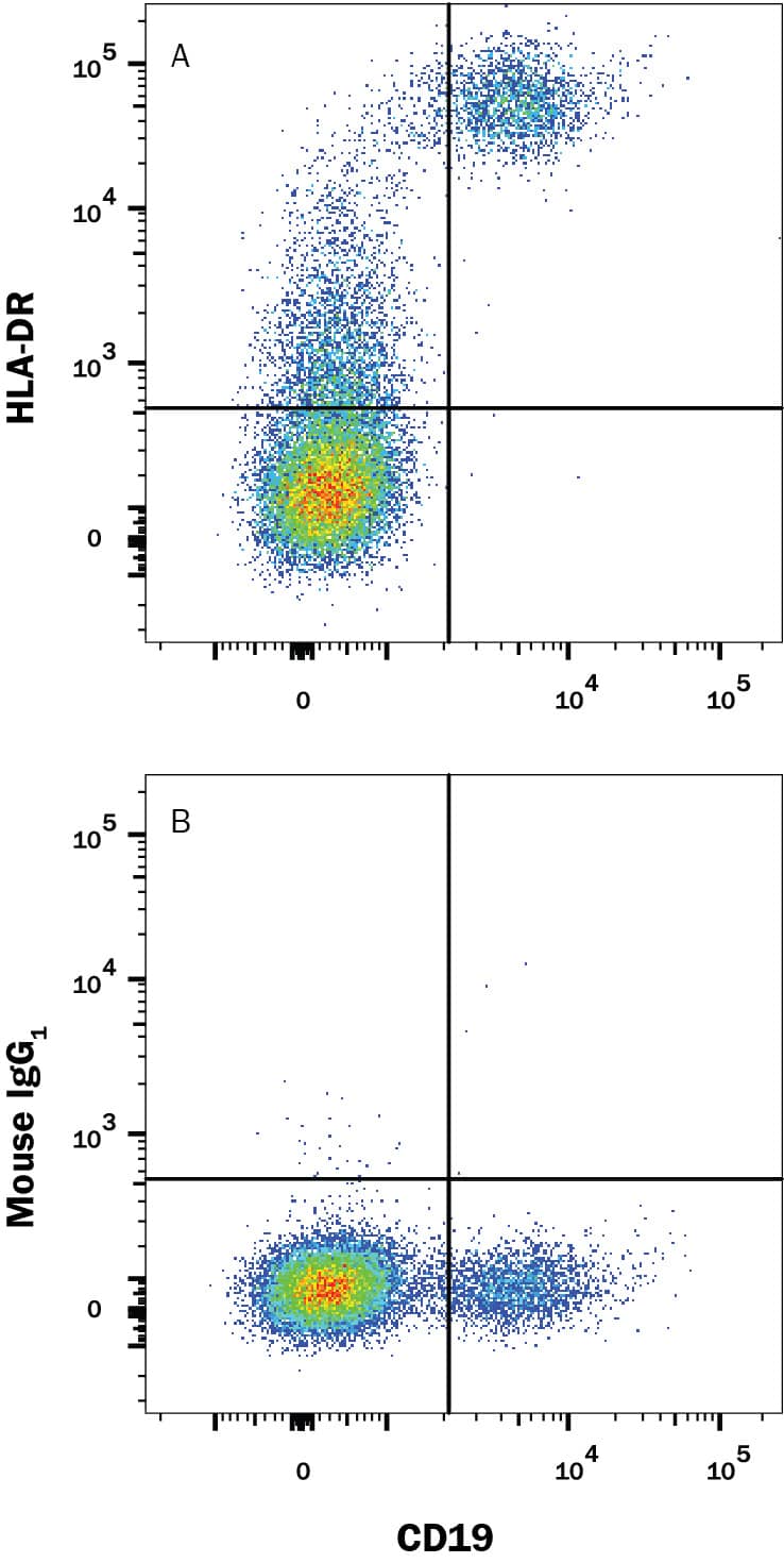 Human peripheral blood lymphocytes were stained with (A) Mouse Anti-Human HLA-DR PE-conjugated Monoclonal Antibody (Catalog # FAB4869P) or (B) isotype control antibody (Catalog # IC002P) and Mouse anti-Human CD19 APC-conjugated Monoclonal Antibody (Catalog # FAB4867A). View our protocol for Staining Membrane-associated Proteins.