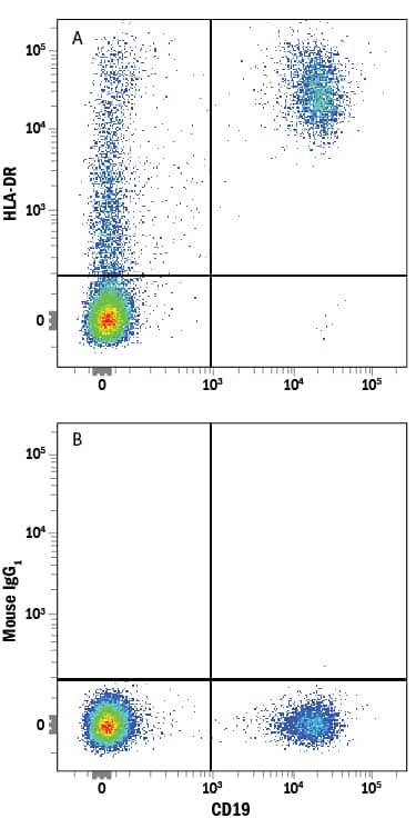 Human peripheral blood mononuclear cells (PBMCs) were stained with Mouse Anti-Human CD19 PE-conjugated Monoclonal Antibody (Catalog # FAB4867P) and either (A) Mouse Anti-Human HLA-DR Alexa Fluor® 647-conjugated Monoclonal Antibody (Catalog # FAB4869R) or (B) Mouse IgG1Alexa Fluor 647 Isotype Control (Catalog # IC002R). View our protocol for Staining Membrane-associated Proteins.