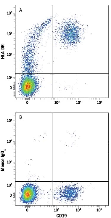 Human peripheral blood mononuclear cells (PBMCs) were stained with Mouse Anti-Human CD19 APC-conjugated Monoclonal Antibody (Catalog # FAB4867A) and either (A) Mouse Anti-Human HLA-DR Alexa Fluor® 594-conjugated Monoclonal Antibody (Catalog # FAB4869T) or (B) Mouse IgG1Alexa Fluor 594 Isotype Control (Catalog # IC002T). View our protocol for Staining Membrane-associated Proteins.