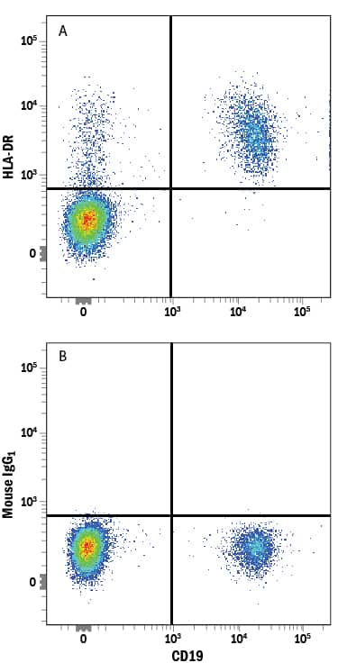 Human peripheral blood mononuclear cells (PBMCs) were stained with Mouse Anti-Human CD19 PE-conjugated Monoclonal Antibody (Catalog # FAB4867P) and either (A) Mouse Anti-Human HLA-DR Alexa Fluor® 405-conjugated Monoclonal Antibody (Catalog # FAB4869V) or (B) Mouse IgG1Alexa Fluor 405 Isotype Control (Catalog # IC002V). View our protocol for Staining Membrane-associated Proteins.