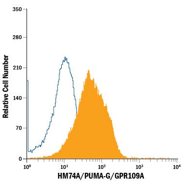 Human peripheral blood neutrophils were stained with Rat Anti-Human HM74A/PUMA-G/GPR109A APC-conjugated Monoclonal Antibody (Catalog # FAB2760A, filled histogram) or isotype control antibody (Catalog # IC013A, open histogram). View our protocol for Staining Membrane-associated Proteins.