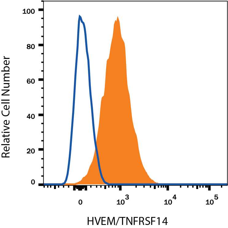 Human peripheral blood lymphocytes were stained with Mouse Anti-Human HVEM/TNFRSF14 APC-conjugated Monoclonal Antibody (Catalog # FAB356A, filled histogram) or isotype control antibody (Catalog # IC002A, open histogram). View our protocol for Staining Membrane-associated Proteins.