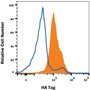 HEK293 human embryonic kidney cell line transfected with either (A) HA-tagged proteins (filled histogram) or (B) irrelevant transfectants (open histogram) was stained with Mouse Anti-HA Tag Alexa Fluor® 594-conjugated Monoclonal Antibody (Catalog # IC6875T). To facilitate intracellular staining, cells were fixed and permeabilized with FlowX FoxP3 Fixation & Permeabilization Buffer Kit (FC012). View our protocol for Staining Intracellular Molecules.