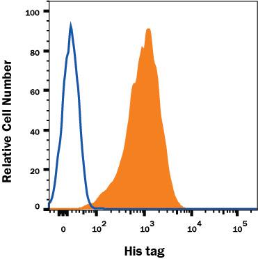 HEK293 human embryonic kidney cell line transfected with His-tagged protein was stained with Mouse Anti-His Tag Alexa Fluor® 647-conjugated Mono-clonal Antibody (Catalog # IC0501R, filled histogram) or isotype control antibody (Catalog # IC002R, open histogram). To facilitate intracellular staining, cells were fixed with Flow Cytometry Fixation Buffer (Catalog # FC004) and permeabilized with Flow Cytometry Permeabilization/Wash Buffer I (Catalog # FC005). View our protocol for Staining Intracellular Molecules.