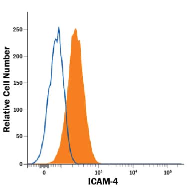 Human red blood cells were stained with Sheep Anti-Human ICAM-4 PE-conjugated Antigen Affinity-purified Polyclonal Antibody (Catalog # FAB7179P, filled histogram) or isotype control antibody (Catalog # IC016P, open histogram). View our protocol for Staining Membrane-associated Proteins.