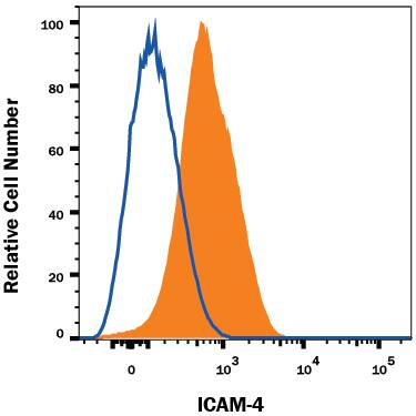 Human red blood cells were stained with Mouse Anti-Human ICAM-4 Alexa Fluor® 700-conjugated Monoclonal Antibody (Catalog # FAB8397N, filled histogram) or isotype control antibody (Catalog # IC0041N, open histogram). View our protocol for Staining Membrane-associated Proteins.