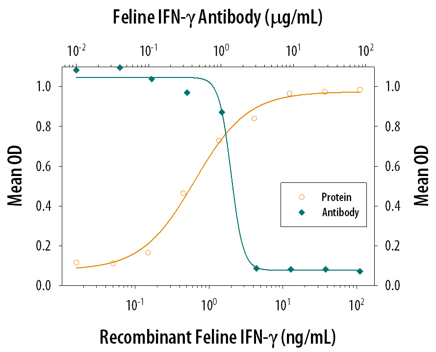 Recombinant Feline IFN‑ gamma  (Catalog # 764-FG) reduces the Vesticular Stomatitis Virus (VSV)-induced cytopathy in the CRFK feline kidney epithelial cell line in a dose-dependent manner (orange line). Inhibition of VSV activity elicited by Recombinant Feline IFN‑ gamma  (5 ng/mL) is neutralized (green line) by increasing concentrations of Goat Anti-Feline IFN‑ gamma  Antigen Affinity-purified Polyclonal Antibody (Catalog # AF764). The ND50 is typically 1-3 µg/mL.