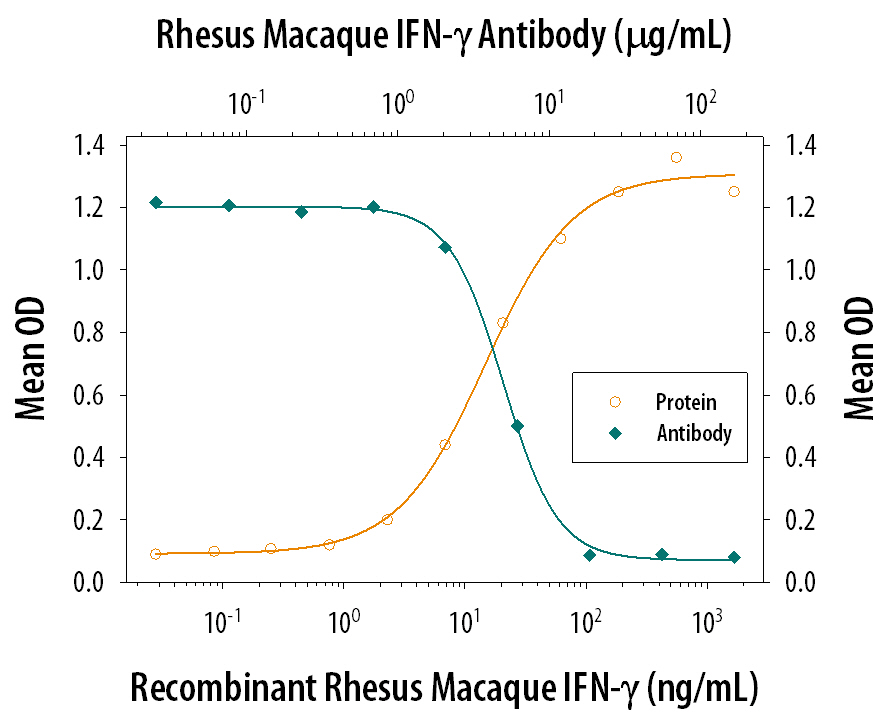 Recombinant Rhesus Macaque IFN‑ gamma  (Catalog # 961-RM) reduces the Encephalomyocarditis Virus (EMCV)-induced cytopathy in the HeLa human cervical epithelial carcinoma cell line in a dose-dependent manner (orange line), as measured by crystal violet staining. Inhibition of EMCV activity elicited by Recombinant Rhesus Macaque IFN‑ gamma  (200 ng/mL) is neutralized (green line) by increasing concentrations of Rhesus Macaque IFN‑ gamma  Antigen Affinity-purified Polyclonal Antibody (Catalog # AF961). The ND50 is typically 1.5-5.0 µg/mL.