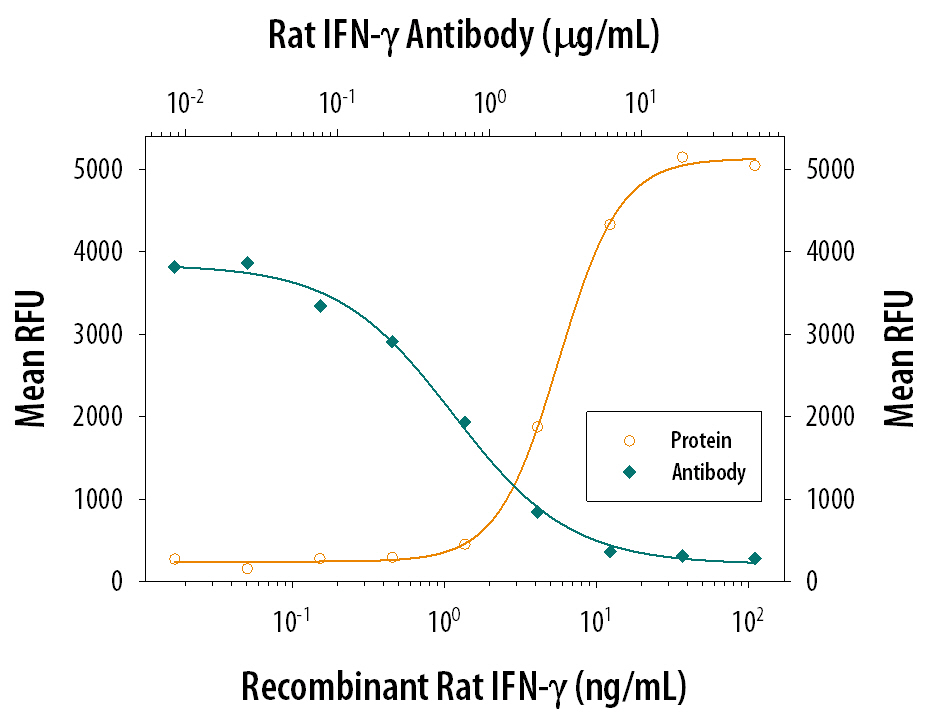 Recombinant Rat IFN‑ gamma  (Catalog # 585-IF) reduces the Encephalomyocarditis Virus (EMCV)-induced cytopathy in the L‑929 mouse fibroblast cell line in a dose-dependent manner (orange line). Inhibition of EMCV activity elicited by Recombinant Rat IFN‑ gamma  (2.5 ng/mL) is neutralized (green line) by increasing concentrations of Rat IFN‑ gamma  Monoclonal Antibody (Catalog # MAB585). The ND50 is typically 0.5-1.5 µg/mL.