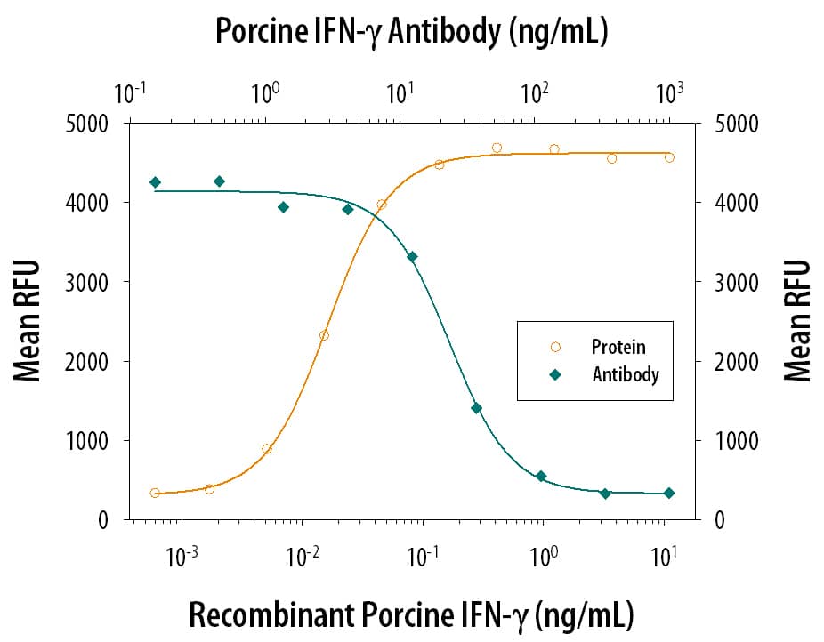 Recombinant Porcine IFN‑ gamma  (Catalog # 985‑PI) reduces the Encephalo­myocarditis Virus (EMCV)-induced cytopathy in the PK‑15 porcine kidney epithelial cell line in a dose-dependent manner (orange line), as measured by Resazurin (Catalog # AR002). Inhibition of EMCV activity elicited by Recombinant Porcine IFN‑ gamma  (0.2 ng/mL) is neutralized (green line) by increasing concentrations of Mouse Anti-Porcine IFN‑ gamma  Monoclonal Antibody (Catalog # MAB9851). The ND50 is typically 15‑60 ng/mL.