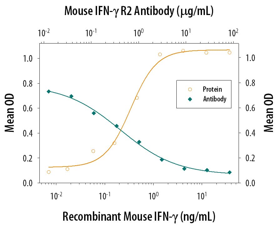 Recombinant Mouse IFN‑ gamma  (Catalog # 485-MI) reduces the Encephalomyocarditis Virus (EMCV)-induced cytopathy in the L‑929 mouse fibroblast cell line in a dose-dependent manner (orange line). Inhibition of EMCV activity elicited by Recombinant Mouse IFN‑ gamma  (1 ng/mL) is neutralized (green line) by increasing concentrations of Goat Anti‑Mouse IFN‑ gamma  R2 Antigen Affinity-purified Polyclonal Antibody (Catalog # AF1185). The ND50 is typically 0.2-0.8 µg/mL.