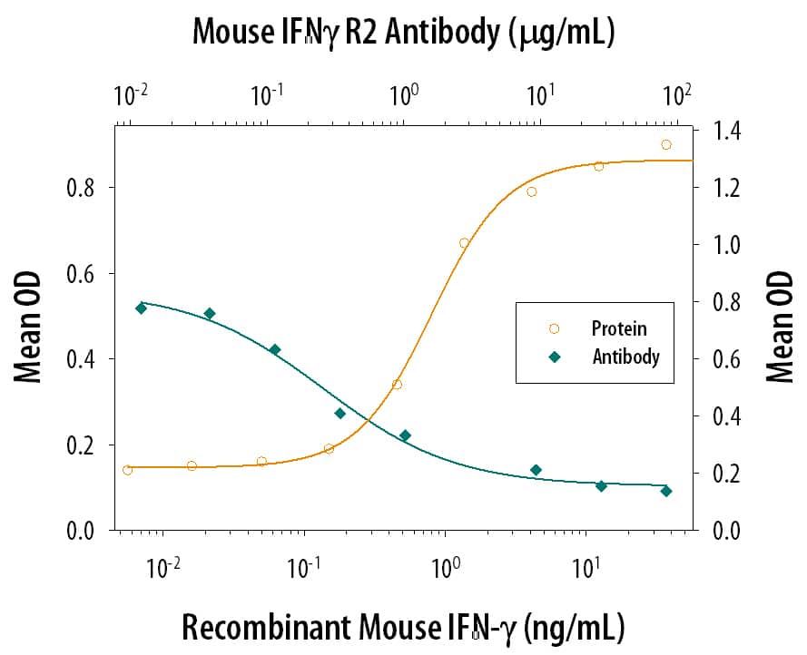 Recombinant Mouse IFN‑ gamma  (Catalog # 485-MI) reduces the Encephalomyocarditis Virus (EMCV)-induced cytopathy in the L‑929 mouse fibroblast cell line in a dose-dependent manner (orange line). Inhibition of EMCV activity elicited by Recombinant Mouse IFN‑ gamma  (1 ng/mL) is neutralized (green line) by increasing concentrations of Hamster Anti-Mouse IFN‑ gamma  R2 Monoclonal Antibody (Catalog # MAB773). The ND50 is typically 0.2-1 µg/mL.