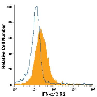 A20 mouse B cell lymphoma cell line was stained with Goat Anti-Mouse IFN-a/ beta  R2 APC-conjugated Antigen Affinity-purified Polyclonal Antibody (Catalog # FAB1083A, filled histogram) or isotype control antibody (Catalog # IC108A, open histogram). View our protocol for Staining Membrane-associated Proteins.