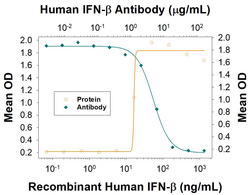 Recombinant HumanIFN-beta  (Catalog # 8499-IF)reduces theEncephalomyocarditis Virus(EMCV)-inducedcytopathy in theHeLa human cervical epithelialcarcinoma cell line in a dose-dependentmanner (orange line),as measured by crystal violetstaining. Inhibition of EMCVactivity elicited by RecombinantHuman IFN-beta (50 pg/mL) isneutralized (green line) byincreasing concentrations of Recombinant Human IFN-beta MonoclonalAntibody (Catalog # MAB814R).The ND50 is typically 7-21μg/mL.