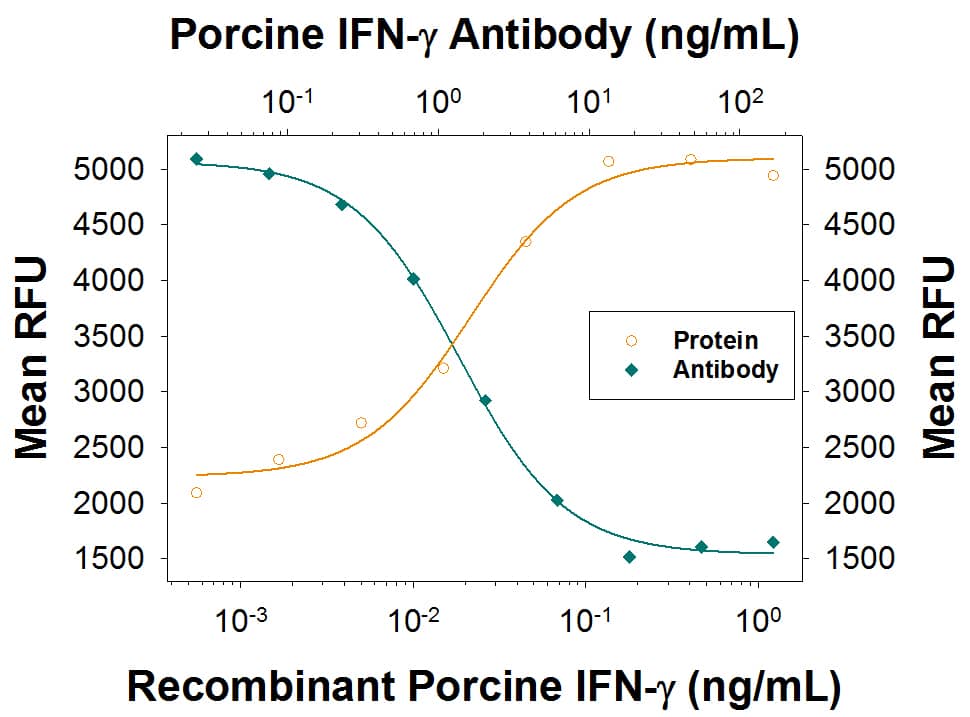 Recombinant Porcine IFN-gamma  (Catalog # 985-PI) reduces the Encephalomyocarditis Virus (EMCV)-induced cytopathy in the PK-15 porcine kidney epithelial cell line in a dose-dependent manner (orange line), as measured by Resazurin (Catalog # AR002). Inhibition of EMCV activity elicited by Recombinant Porcine IFN-gamma  (0.2 ng/mL) is neutralized (green line) by increasing concentrations of Goat Anti-Porcine IFN-gamma  Antigen Affinity-purified Polyclonal Antibody (Catalog # AF9851). The ND50 is typically 1-6 ng/mL.