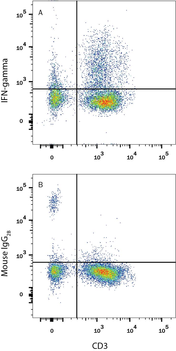 Human peripheral blood mononuclear cells (PBMCs) treated with 50 ng/mL PMA, 1 µg/mL Ionomycin, and 3 µM Monensin overnight were stained with Mouse Anti-Human CD3e APC-conjugated Monoclonal Antibody (Catalog # FAB100A) and either (A) Mouse Anti-Human IFN-gamma Fluorescein-conjugated Monoclonal Antibody (Catalog # IC285F) or (B) Mouse IgG2BFluorescein Isotype Control (Catalog # IC0041F). To facilitate intracellular staining, cells were fixed and permeabilized with FlowX FoxP3 Fixation & Permeabilization Buffer Kit (Catalog # FC012). View our protocol for Staining Intracellular Molecules.