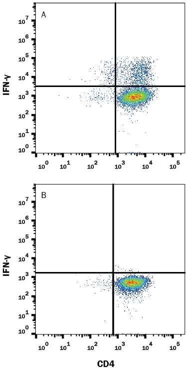 Mouse splenocytes either (A) stimulated to induce Th1 cells or (B) unstimulated were stained with Rat Anti-Mouse IFN-gamma PE-conjugated Monoclonal Antibody (Catalog # IC485P) and Rat Anti-Mouse CD4 APC-conjugated Monoclonal Antibody (Catalog # FAB554A). Quadrant markers were set based on control antibody staining (Catalog # IC006P). To facilitate intracellular staining, cells were fixed with Flow Cytometry Fixation Buffer (Catalog # FC004) and permeabilized with Flow Cytometry Permeabilization/Wash Buffer I (Catalog # FC005). View our protocol for Staining Intracellular Molecules.